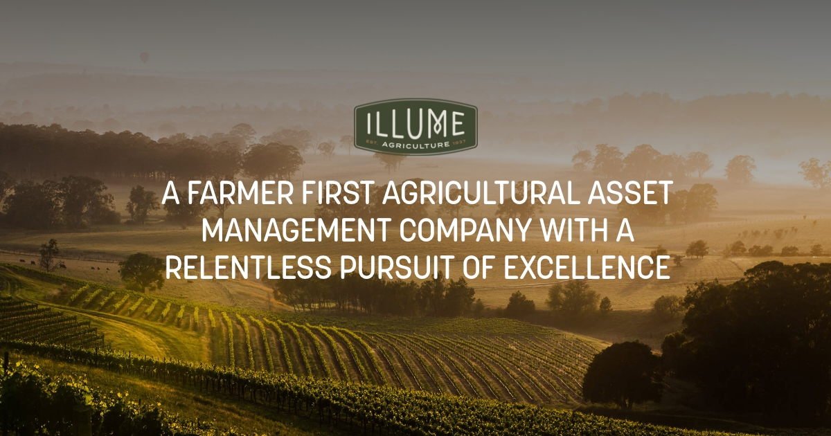 Illume Agriculture Agricultural Investment & Management