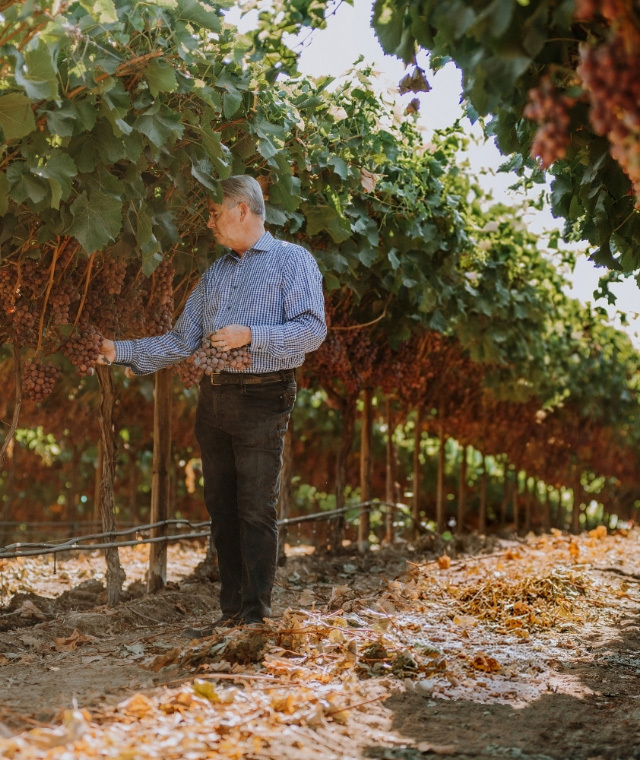 Agricultural Investment Asset Management